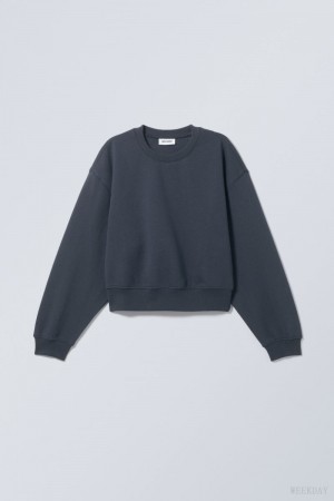 Weekday Crop Volume Sweatshirt スウェットシャツ レディース 青 Japan | X1O-3312