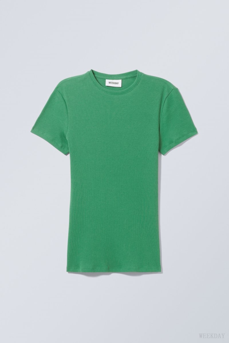 Weekday Close Fitted Rib T-Shirt Tシャツ レディース ターコイズ 緑 Japan | X6I-6017