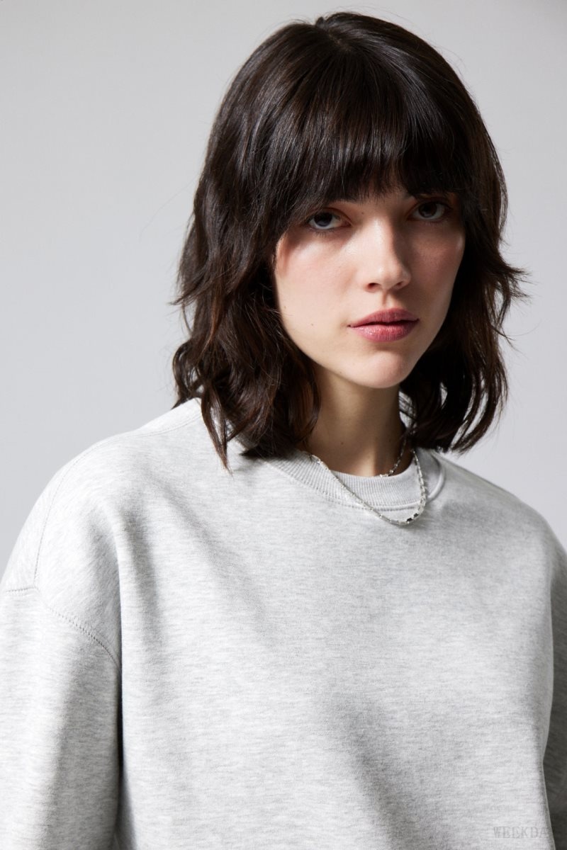 Weekday Essence Standard Sweatshirt スウェットシャツ レディース ライトグレー Japan | T0L-7435