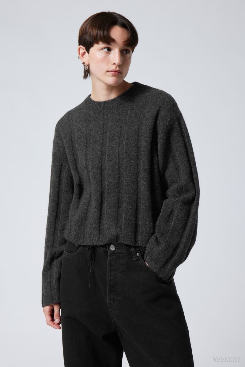 Weekday Fiona Rib Sweater セーター レディース 暗グレー Japan | X4M-3353