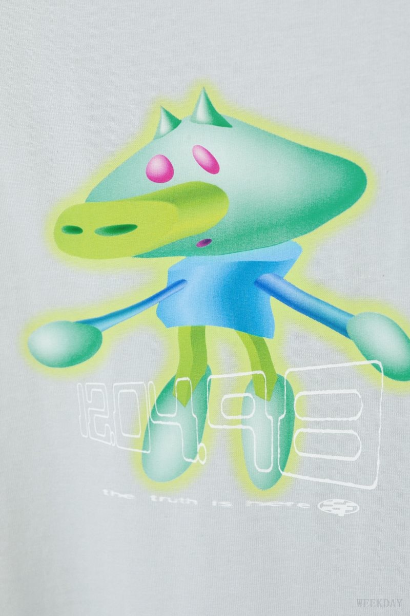 Weekday Oversized グラフィック Printed T-shirt Tシャツ メンズ Techno Guy Japan | O9U-4648