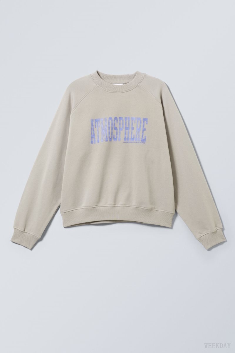 Weekday Regular Raglan グラフィック Sweatshirt スウェットシャツ メンズ Atmosphere Dusty Mole Japan | C0F-0691