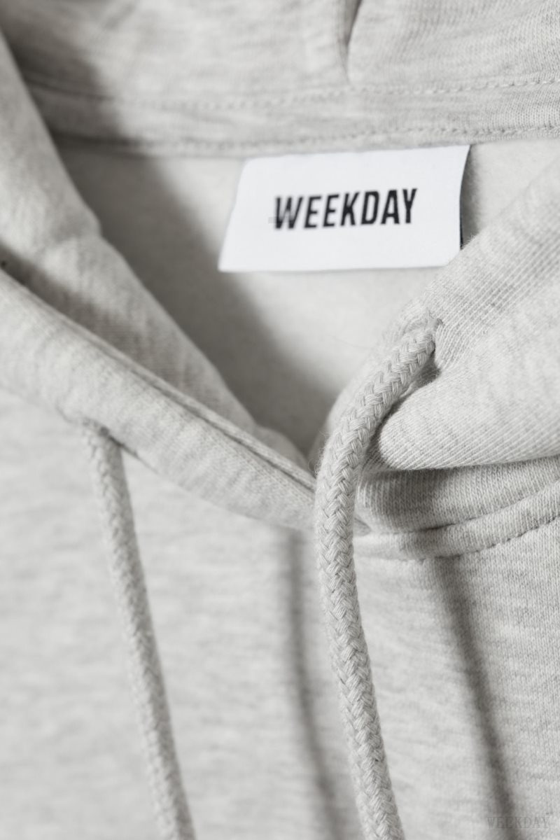 Weekday Relaxed Heavy Hoodie パーカー メンズ グレー Japan | B2X-5559