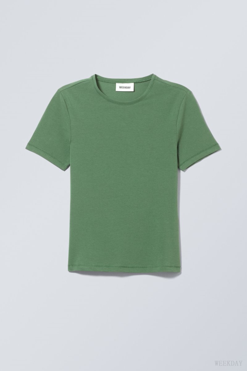 Weekday Slim Fitted T-shirt Tシャツ レディース ターコイズ 緑 Japan | G6C-7678